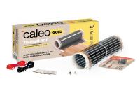    CALEO GOLD